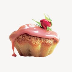 Cup Cake